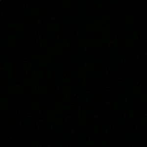 Meet your Posher, Joselyne